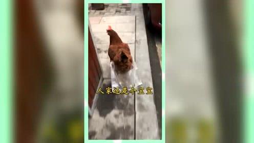 吃瓜群众纯属娱乐,纯属娱乐，揭秘娱乐圈幕后故事