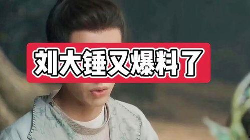 刘大锤爆料完整视频,完整视频揭秘事件真相