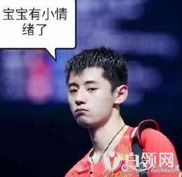 爆料张继科汇总视频最新,揭秘赛场内外不为人知的故事