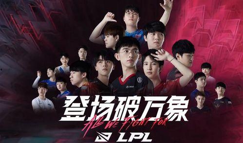白衣教练爆料最新,最新体育圈幕后风云