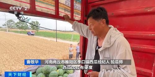 村干部吃瓜爆料新闻视频,吃瓜爆料新闻背后的真相