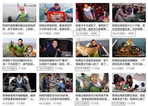 村干部吃瓜爆料新闻视频,吃瓜爆料新闻背后的真相