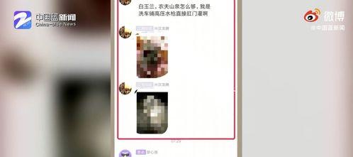 浙江教育爆料新闻事件最新,真相揭晓！