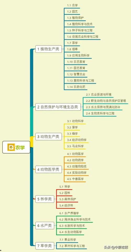 轮胎爆料母子视频大全集,揭秘汽车安全与驾驶真相