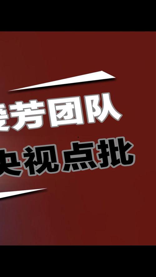 牛队爆料视频完整版下载,揭秘幕后真相与精彩瞬间