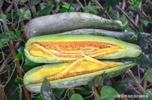 安阳吃瓜网红,揭秘当地美食与趣闻