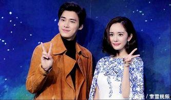 杨幂李易峰最新爆料,揭秘娱乐圈背后的秘密与情感纠葛