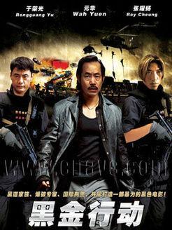 在线观看黑金,揭秘地下经济暗流涌动的秘密世界