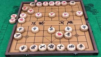 仙女象棋爆料网站大全最新,一网打尽热门资讯与攻略
