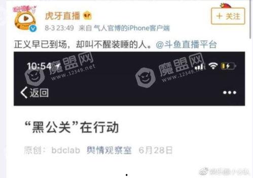 今日爆料怎么发朋友圈说说,朋友圈说说背后的故事