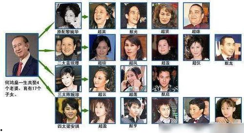 荣大夫爆料何鸿燊视频播放,一场豪门恩怨的真相大揭秘