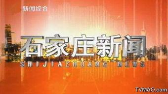 石家庄夜间爆料新闻报道,聚焦城市夜生活动态与热点事件