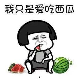 吃瓜全娱乐,揭秘娱乐圈幕后故事与热点事件