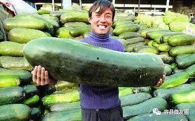 网红青蛙吃瓜群众,揭秘网络红人的幕后故事