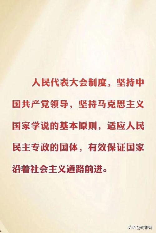 星期日早期爆料新闻,重大新闻事件深度解析