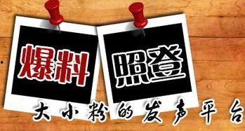 新闻爆料 媒体,媒体揭秘重大新闻事件背后真相