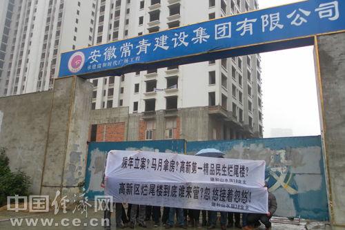 隆平高科最新爆料新闻,揭秘农业科技巨头的新突破与未来战略