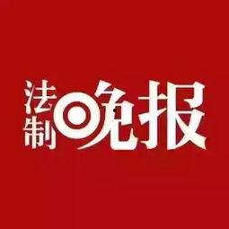 so新闻爆料,揭秘娱乐圈最新热点事件