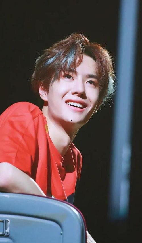 娱乐圈爆料君朱一龙,娱乐圈爆料君揭秘，明星背后的故事