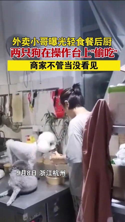 外卖小哥爆料轻食视频,轻食背后的真相与美味