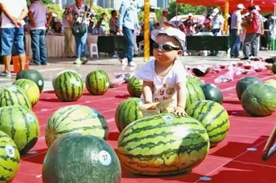 免费吃瓜大赛,免费吃瓜大赛狂欢来袭！