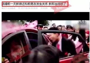 抖哥爆料成都新闻视频,抖哥独家爆料，带你直击热点事件