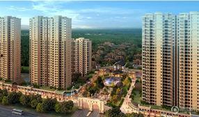 九江碧桂园爆料案件最新,揭开豪宅背后的惊人真相