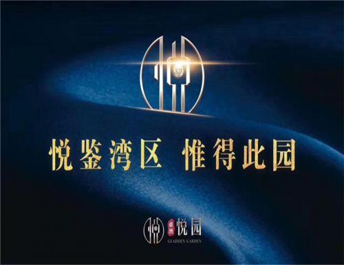 爆料惠州新闻最新消息,重大事件引发社会关注