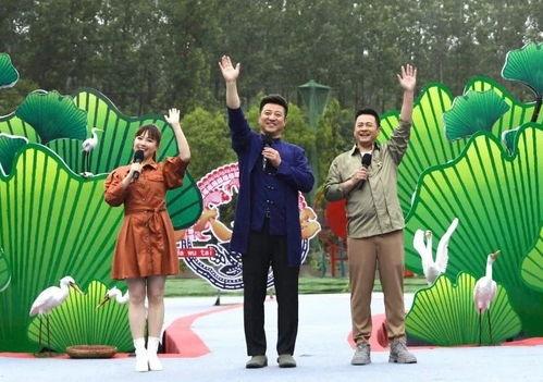 句容热点爆料事件视频最新,视频揭露惊人真相，引发社会关注