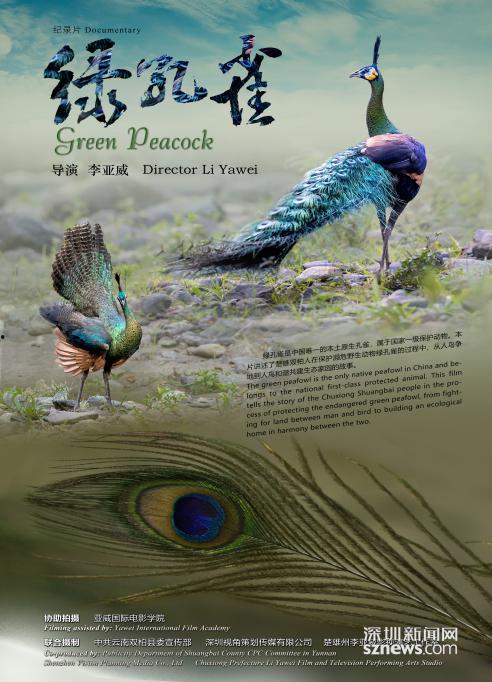 孔雀电影在线观看,电影在线观看之旅