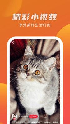 热点爆料蓝猫视频下载免费,揭秘热门爆料背后的下载攻略