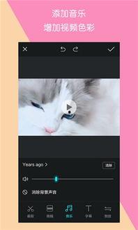 在线资源视频免费观看视频,揭秘在线视频平台的免费观看秘籍
