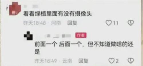 短视频爆料邮箱,揭秘网络爆料背后的真相