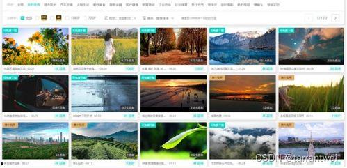 最新爆料视频素材网站,视频素材网站大起底！