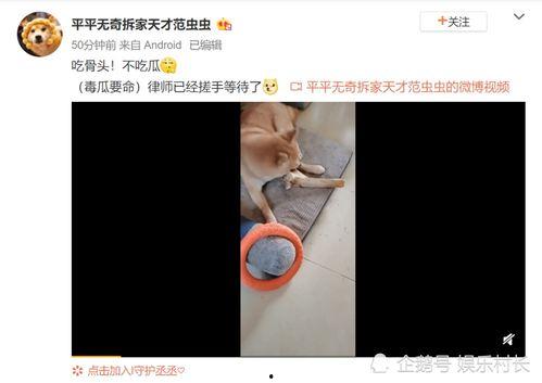 男网红吃瓜爆料视频大全,揭秘娱乐圈幕后真相