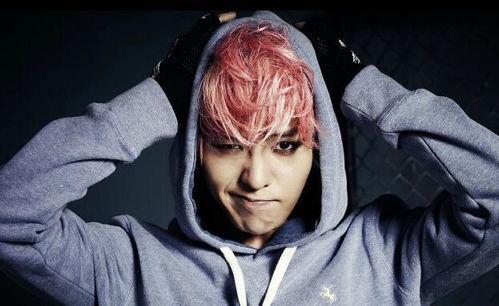 韩娱圈内真实爆料权志龙,揭秘韩娱圈背后的真实故事