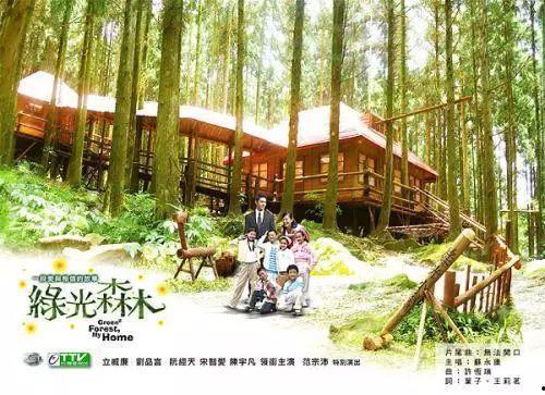 绿光森林 在线观看,探寻神秘森林的奇幻之旅