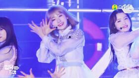 小樱花爆料新歌视频播放,视觉盛宴，音乐魅力即将绽放