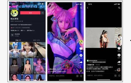 呆呆的爆料视频大全最新,揭秘娱乐圈幕后真相