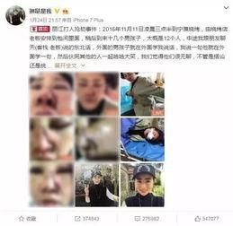 游客视频爆料怎么做的好,如何打造引人入胜的旅游概述