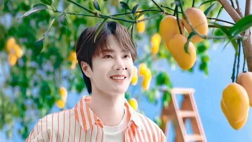 娱乐大爆料赵露思王一博,娱乐大爆料揭秘幕后故事