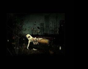 黑暗世界在线观看,在线揭秘未知恐惧的虚拟之旅