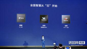 娱乐屏爆料,明星幕后故事大揭秘