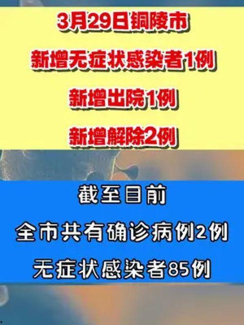 枞阳新闻爆料网官网,聚焦本土热点，传递民生声音