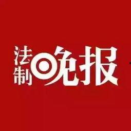 枞阳新闻爆料网官网,聚焦本土热点，传递民生声音