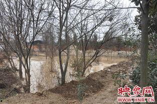 古隆中酒厂爆料视频播放