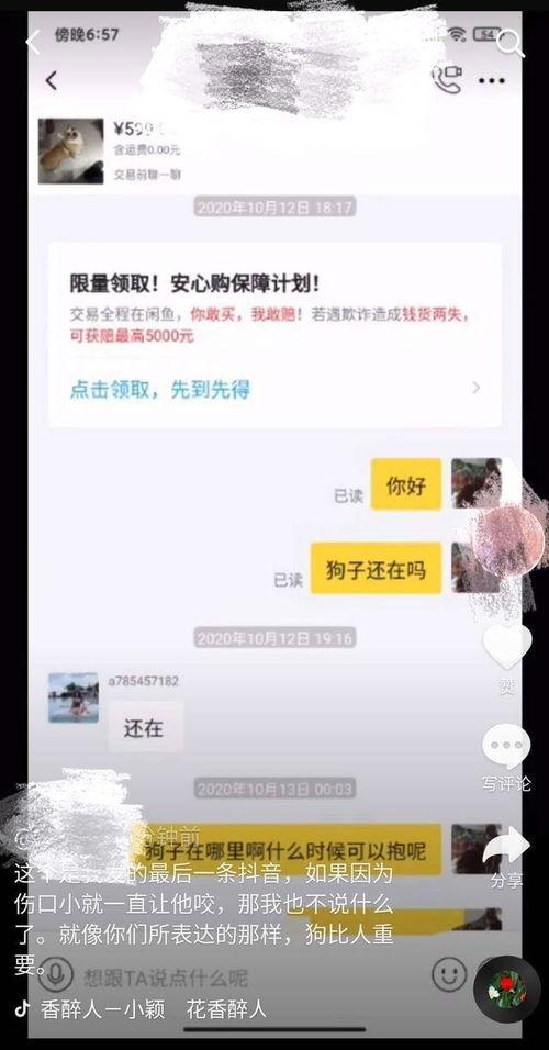 爆料怎么发短视频,爆料带你一探究竟