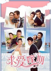 求爱嫁期在线观看,揭秘求爱嫁期在线观看背后的甜蜜故事