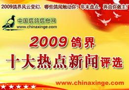 十大热点爆料新闻内容有哪些,揭秘近期社会焦点事件
