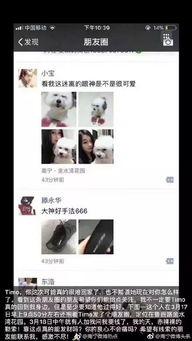 南宁爆料暗拍视频最新网站,揭秘城市角落不为人知的真相